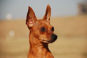 自分の言葉に責任を持つ