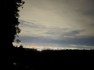 IMG_1194.jpg