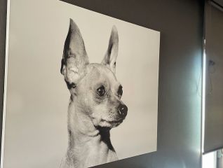 フワッとしてていい