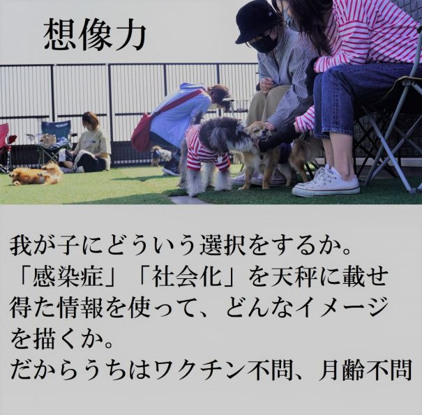 ペットホテル パピーパーティ 犬の保育園(dog nursery)｜DOG DIAMOND